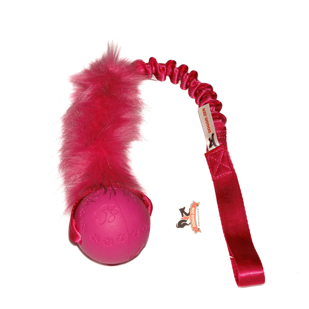 Bilde av Elastisk fuskplskampis L med Trixie-ball