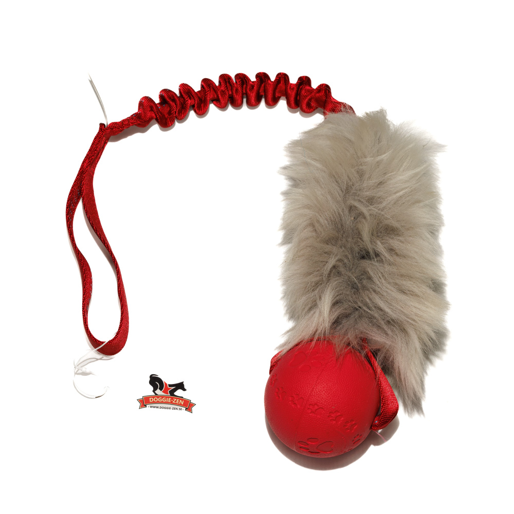 Bilde av Elastisk frskinnskampis L med Trixie-ball